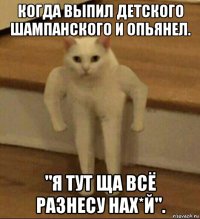 когда выпил детского шампанского и опьянел. "я тут ща всё разнесу нах*й".