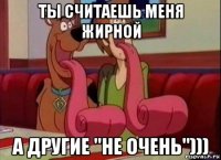 ты считаешь меня жирной а другие "не очень")))