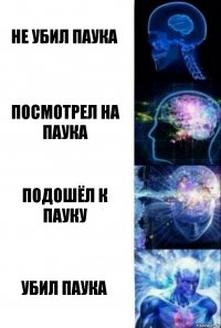 Не убил паука Посмотрел на паука Подошёл к пауку Убил паука