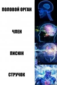 Половой орган Член Писюн Стручок