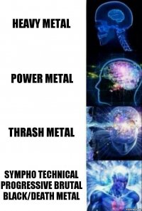 Heavy metal Power metal Thrash metal Sympho Technical progressive brutal black/death metal