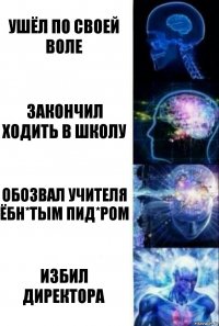 ушёл по своей воле закончил ходить в школу обозвал учителя ёбн*тым пид*ром избил директора