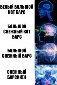 Белый большой кот барс Большой снежный кот барс Большой Снежный барс СНЕЖНЫЙ БАРСИК)))