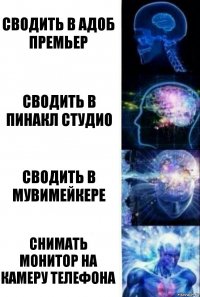 сводить в Адоб Премьер сводить в пинакл студио сводить в мувимейкере снимать монитор на камеру телефона