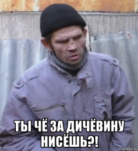  ты чё за дичёвину нисёшь?!