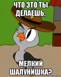 что это ты делаешь, мелкий шалунишка?