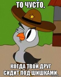 то чусто, когда твой друг сидит под шишками.