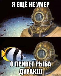 я ещё не умер о привет рыба дурак)))