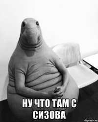  ну что там с сизова