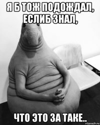 я б тож подождал, еслиб знал, что это за таке..