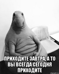  приходите завтра, а то вы всегда сегодня приходите