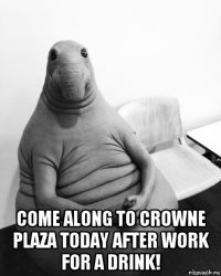  come along to crowne plaza today after work for a drink!