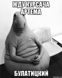 жду курсача артема булатицкий