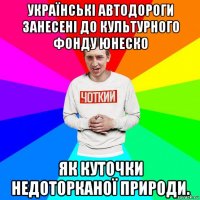 українські автодороги занесені до культурного фонду юнеско як куточки недоторканої природи.