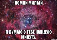 помни милый я думаю о тебе каждую минуту,