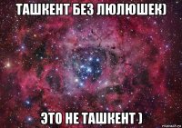 ташкент без люлюшек) это не ташкент )