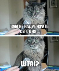 Вам не надут жрать сегодня... Шта!?