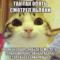 так так опять смотрел яблоки но не чего шяс он будет смотреть только жопу котов хаха аах хах стоп тихо хозяин пришол