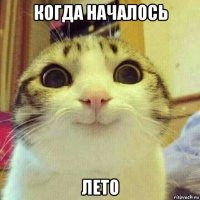 когда началось лето