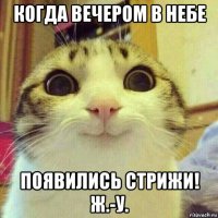 когда вечером в небе появились стрижи! ж.-у.