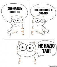 Обожаешь кошек? Но любишь и собак? Не надо так!