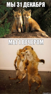 мы 31 декабря мы 1 вечером