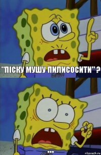 "піску мушу пилисосити" ? ...