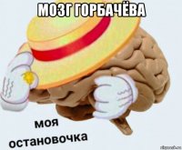 мозг горбачёва 