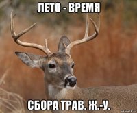 лето - время сбора трав. ж.-у.