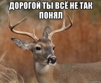 дорогой ты всё не так понял 