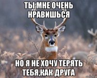 ты мне очень нравишься но я не хочу терять тебя,как друга