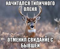 начитался типичного оленя отменил свидание с бывшей