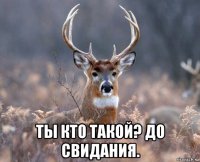  ты кто такой? до свидания.