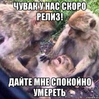 чувак у нас скоро релиз! дайте мне спокойно умереть