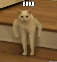 suka 