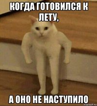 когда готовился к лету, а оно не наступило