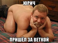 юрич пришёл за веткой