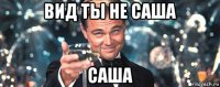 вид ты не саша саша