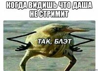 когда видишь что даша не стримит 