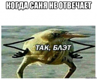 когда саня не отвечает 