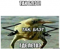 так блэт! где лето?