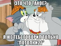 это что такое? я же тебе говорил только "потолки21"