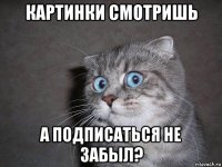 картинки смотришь а подписаться не забыл?