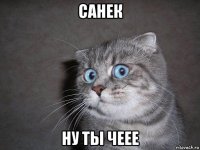 санек ну ты чеее