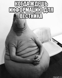 когда ждешь информацию для вестника 