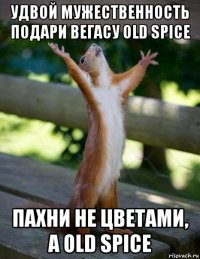 удвой мужественность подари вегасу old spice пахни не цветами, а old spice