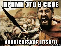 прими это в свое nordicheskoe litso!11