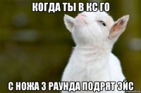 когда ты в кс го с ножа 3 раунда подрят эйс