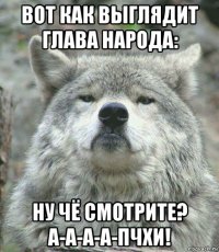 вот как выглядит глава народа: ну чё смотрите? а-а-а-а-пчхи!