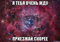 я тебя очень жду приезжай скорее